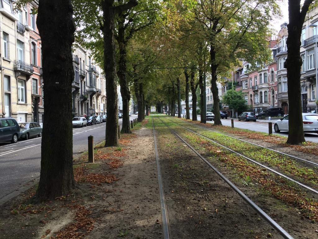 Albert Moliere Saint-Gilles ภายนอก รูปภาพ